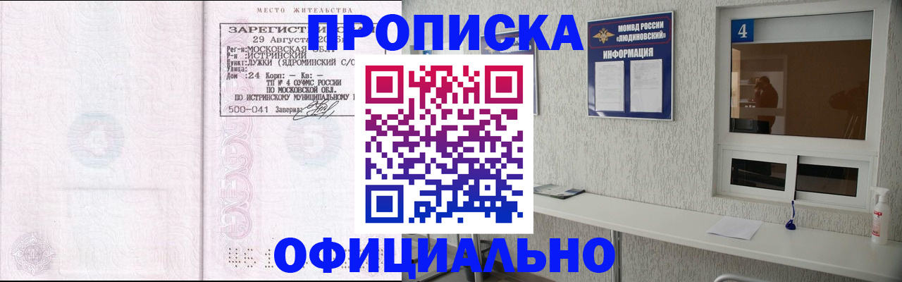 временная регистрация госуслуги в Опочке